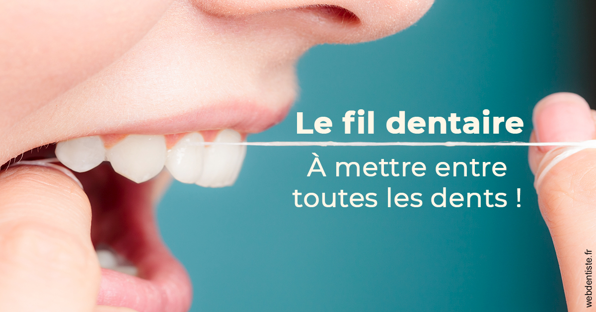 https://dr-petrakian-jean-marc.chirurgiens-dentistes.fr/Le fil dentaire 2