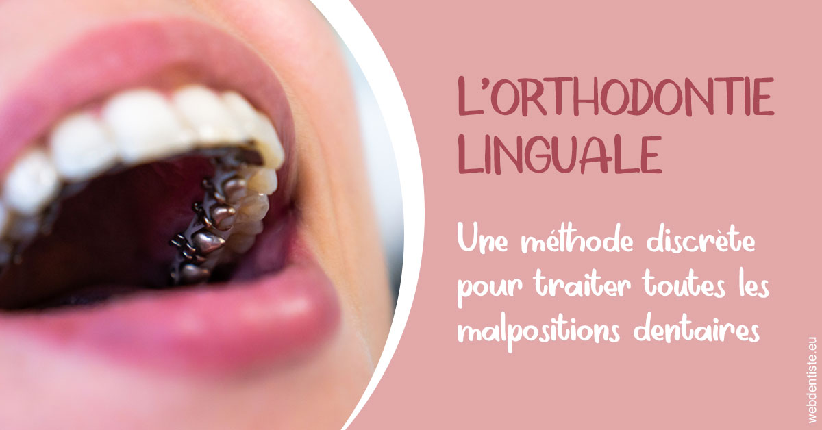 https://dr-petrakian-jean-marc.chirurgiens-dentistes.fr/L'orthodontie linguale 2