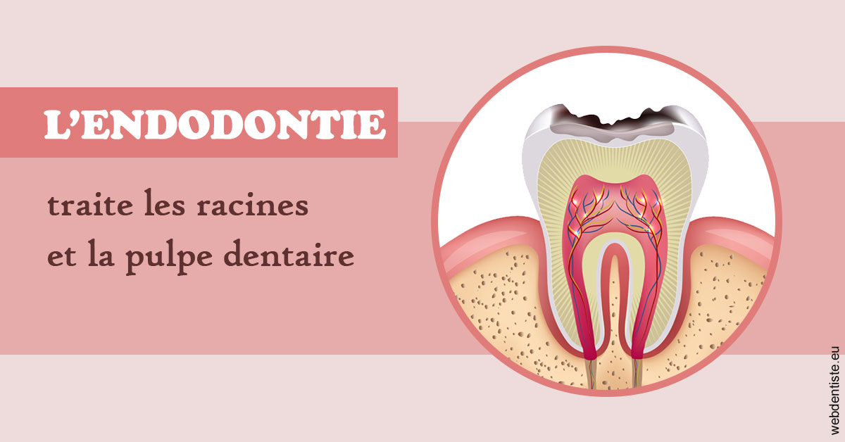 https://dr-petrakian-jean-marc.chirurgiens-dentistes.fr/L'endodontie 2
