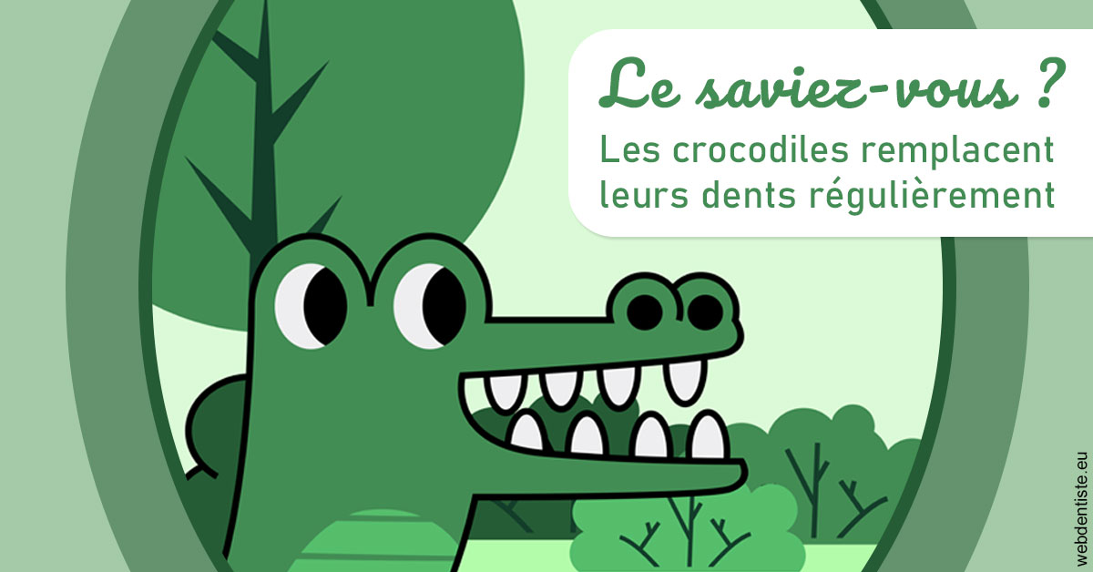 https://dr-petrakian-jean-marc.chirurgiens-dentistes.fr/Crocodiles 2